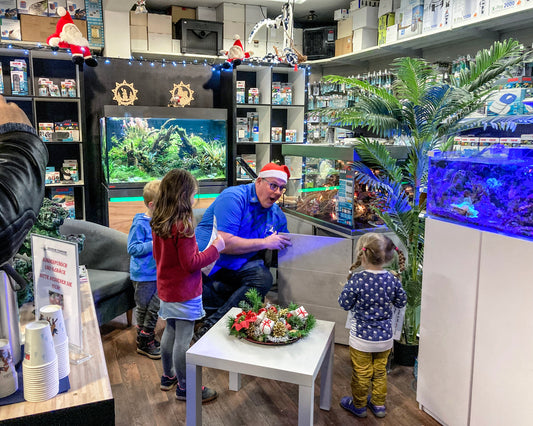 AKWB’ler helfen beim Kids Day im Aquarium Tonndorf