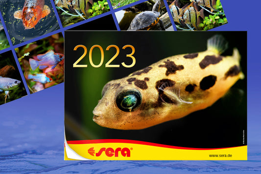 sera-Kalender 2023 abholen