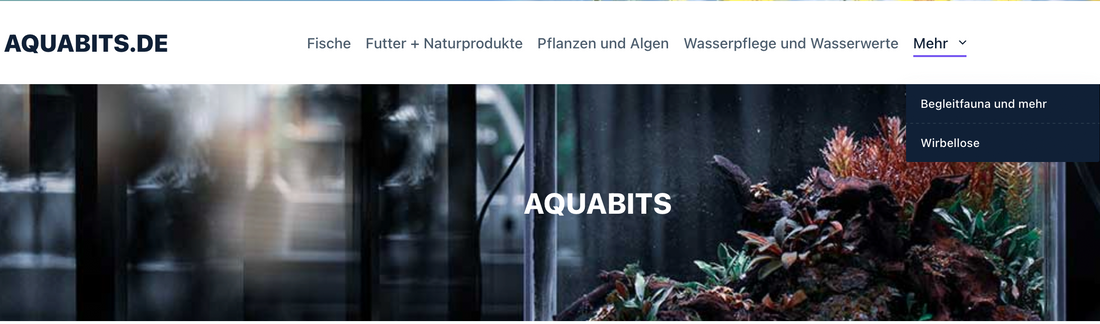 Aquabits.de ist wieder da