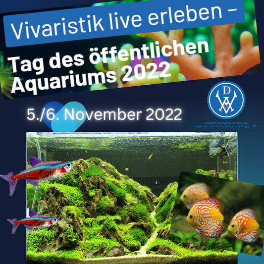 Faszination Vivaristik live erleben