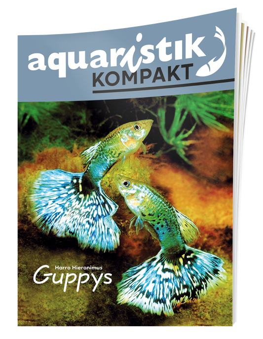 aquaristik Kompakt - Guppys