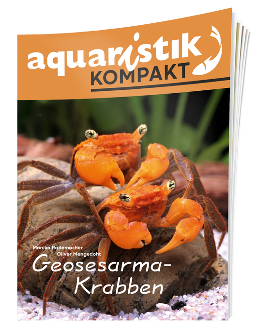 aquaristik Kompakt - Geosesarma-Krabben