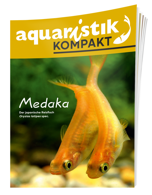 aquaristik Kompakt - Medaka