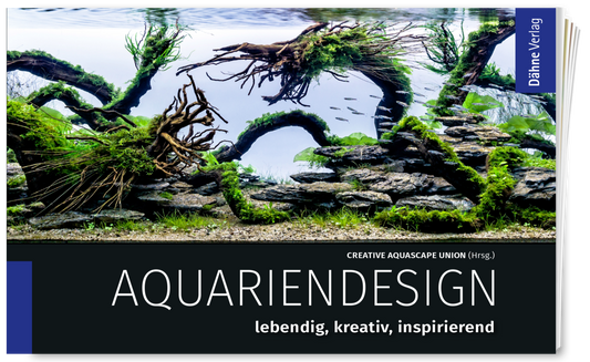 Aquariendesign