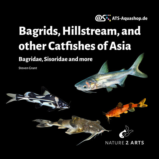 Bagrids, Hillstream, and other Catfishes of Asia