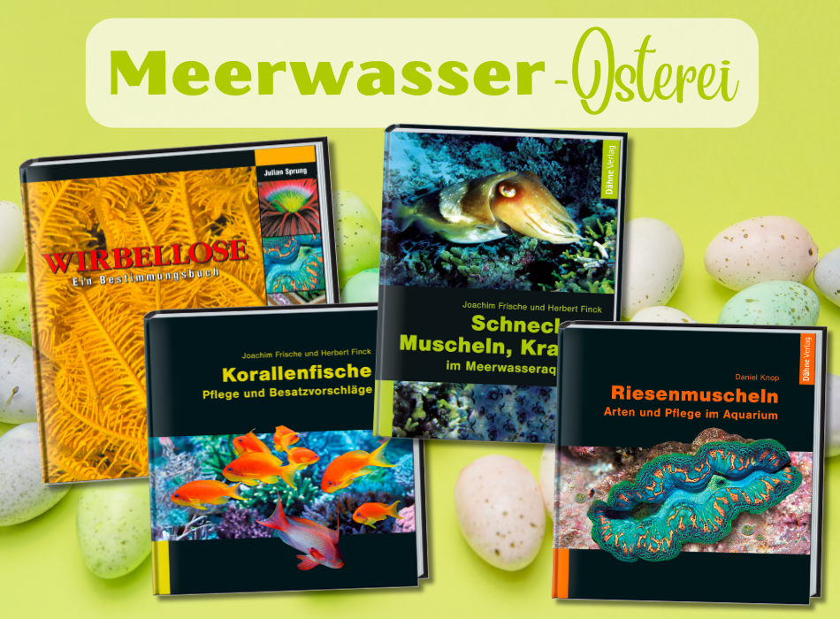 Meerwasser-Osterei