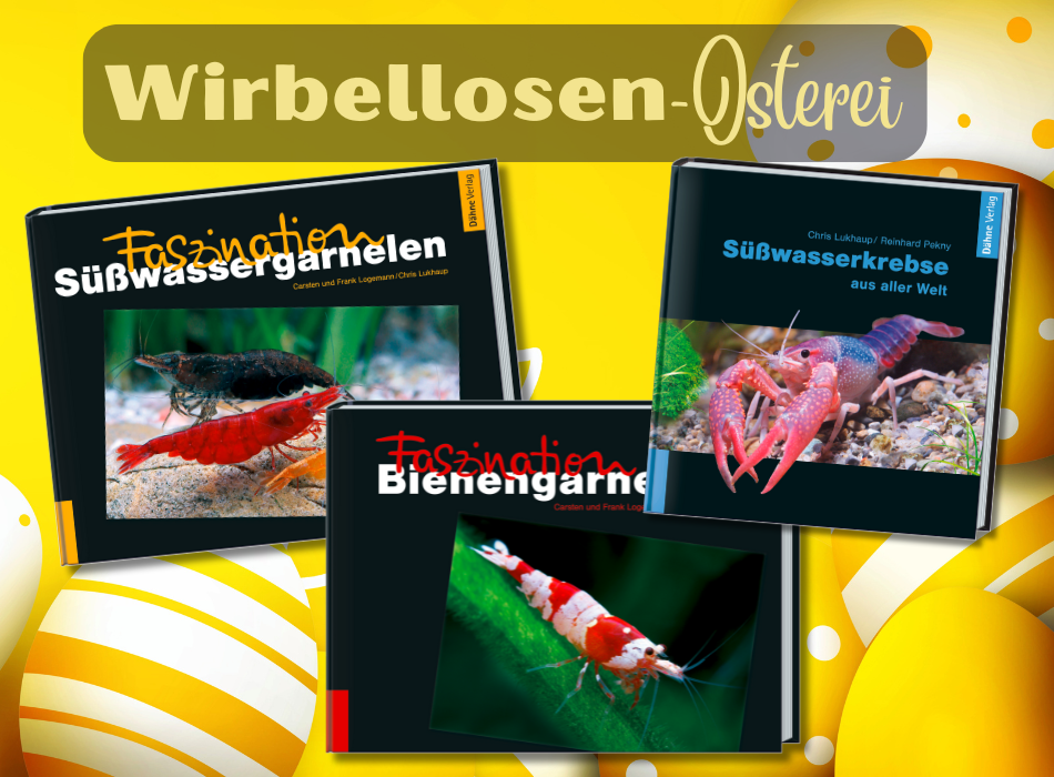 Wirbellosen-Osterei