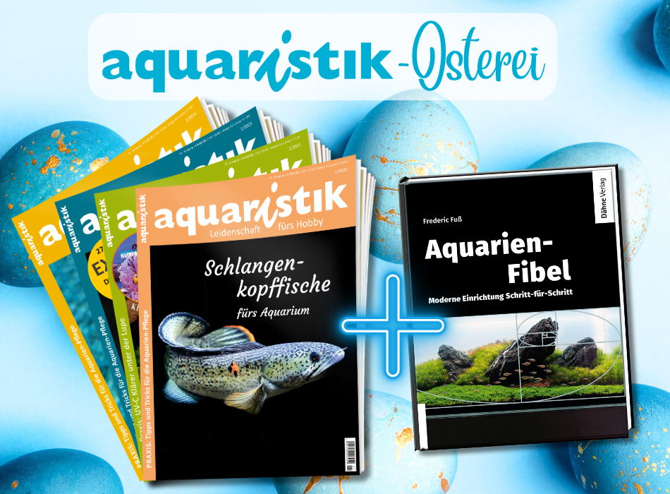 Das aquaristik-Osterei