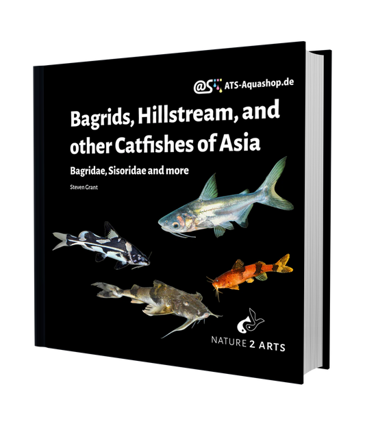 Bagrids, Hillstream, and other Catfishes of Asia