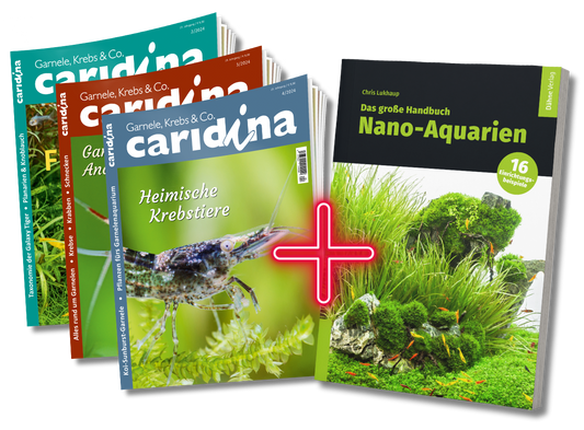 caridina Weihnachts-Special