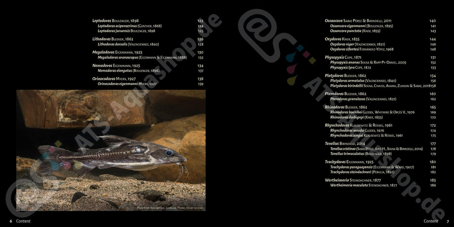 Banjos, Dorads and Woodcats – Aspredinidae, Doradidae and Auchenipteridae Catfishes